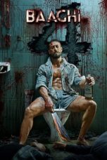 Baaghi 4 (2025) Sub Indonesia